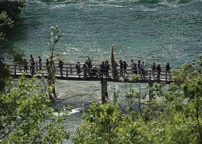 Stunning In דירה ברודאריצה